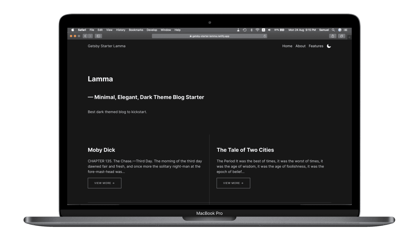 Screenshot of Gatsby Starter Lamma