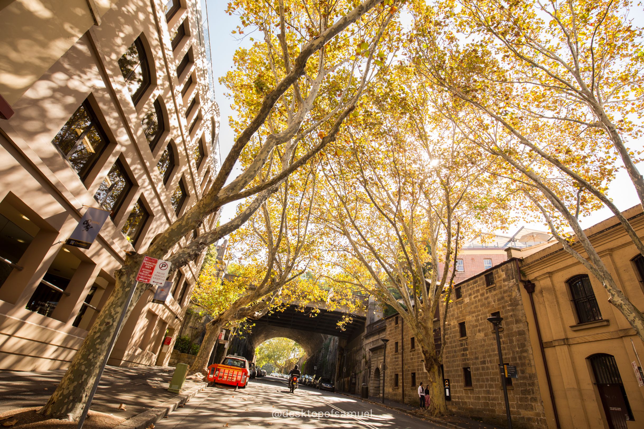 Spectacular Sydney